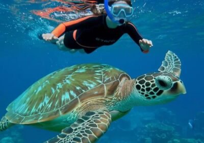 Best excursions in Hurghada
