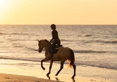 Horse riding in the sea Hurghada