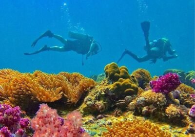 Top locations red sea snorkeling egypt
