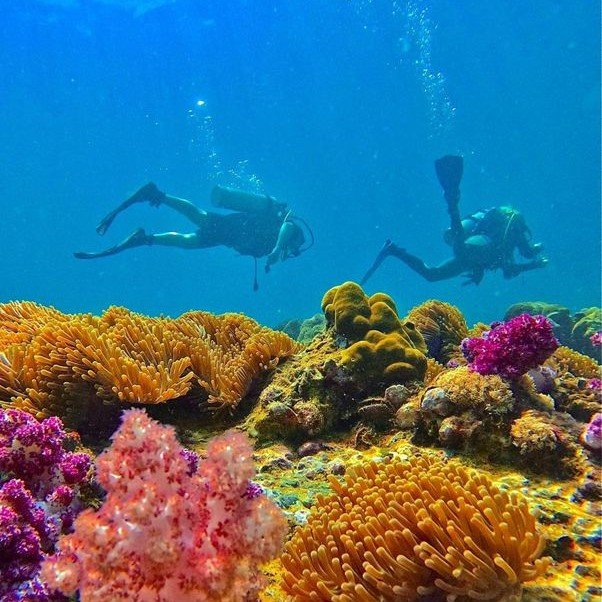 Top locations red sea snorkeling egypt