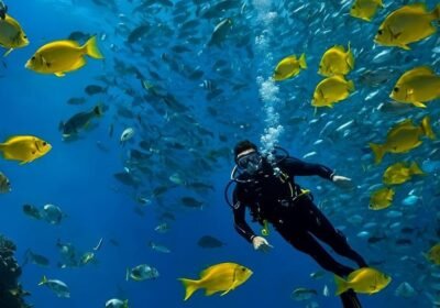 best egypt travel packages